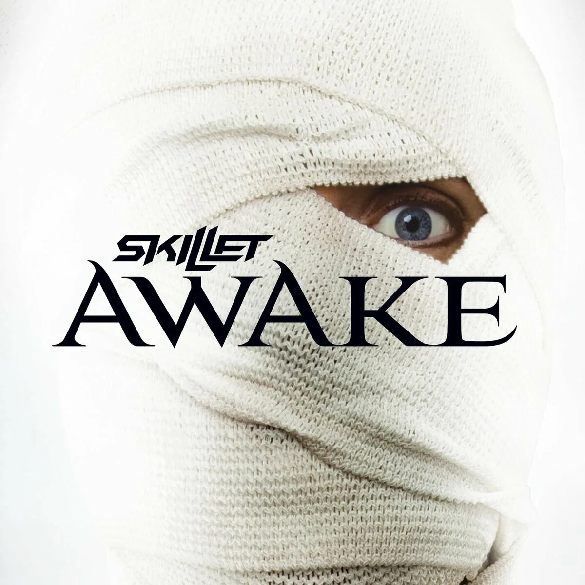 دانلود آهنگ Would It Matter از Skillet