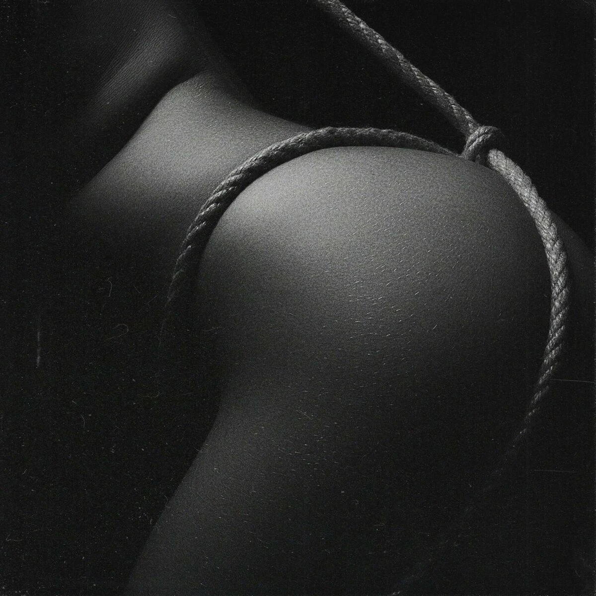 دانلود آهنگ XXX از Velvet Cash