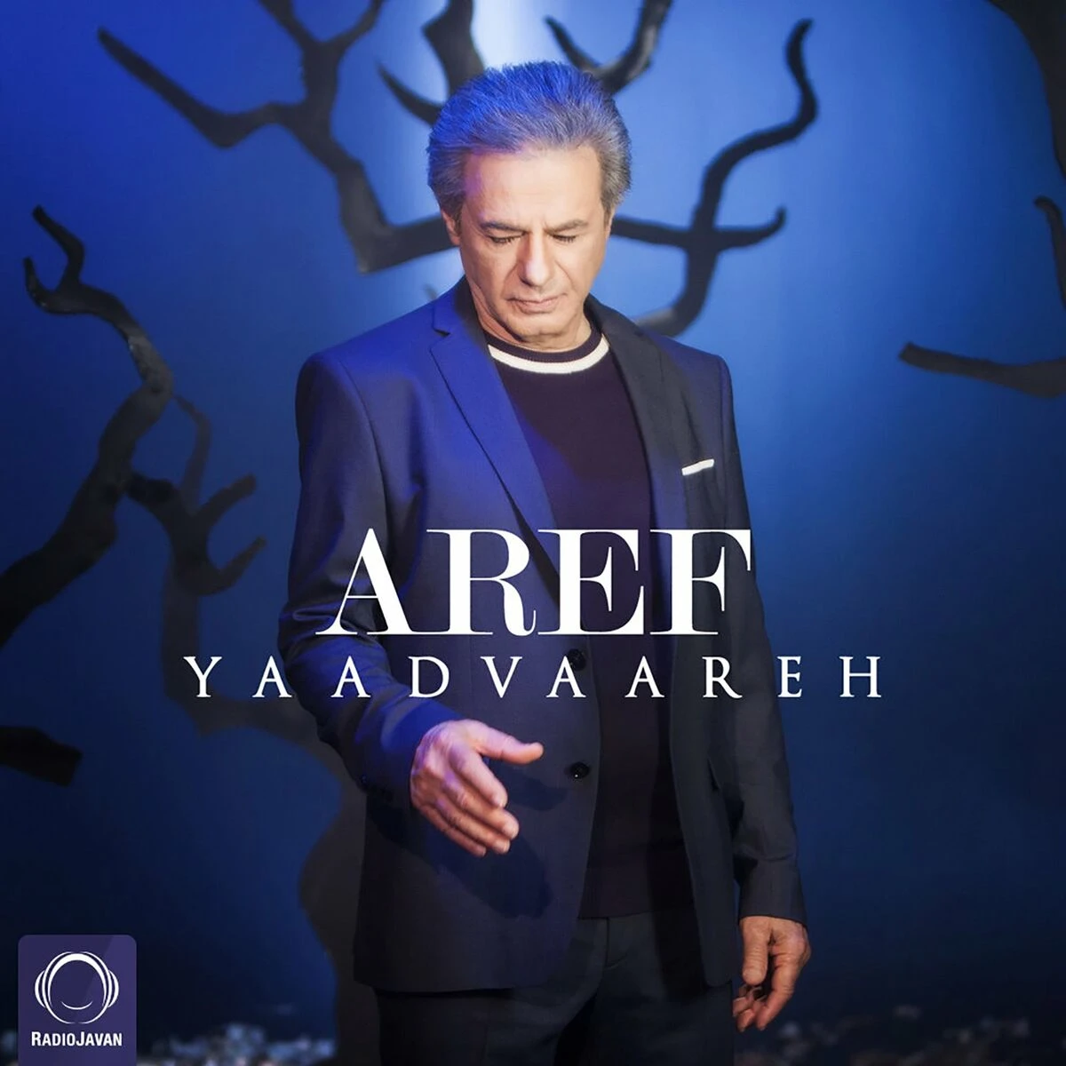دانلود آهنگ Yaadvaareh از عارف