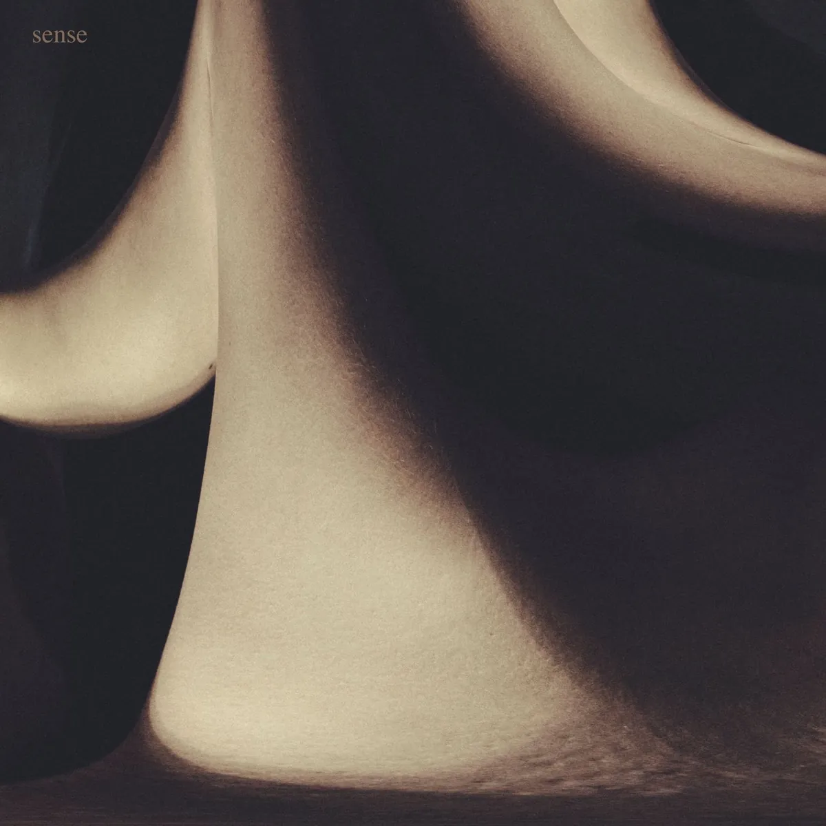 دانلود آهنگ sense از Siamese