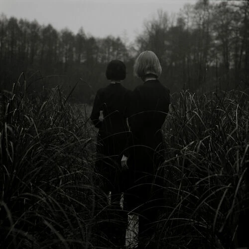 دانلود آهنگ A Word I Give (with Ryuichi Sakamoto) از Ryuichi Sakamoto