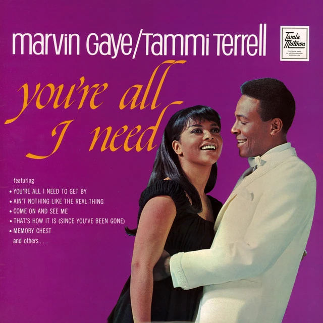 دانلود آهنگ Ain't Nothing Like The Real Thing از Marvin Gaye