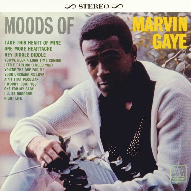 دانلود آهنگ Ain't That Peculiar - Single Version از Marvin Gaye
