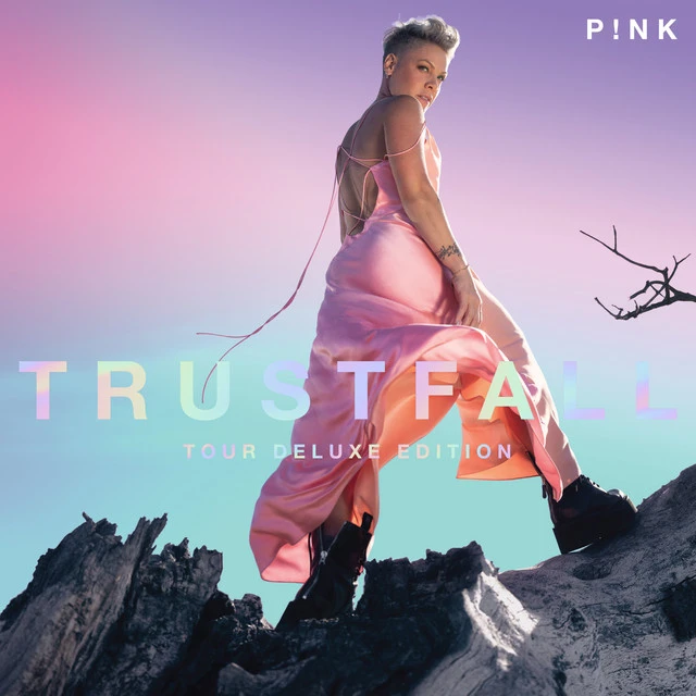 دانلود آهنگ All Out Of Fight از P!nk