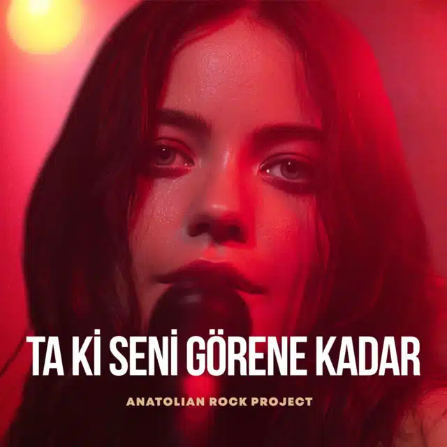 دانلود آهنگ جدید Ta Ki Seni Gorene Kadar از Ankara Echoes