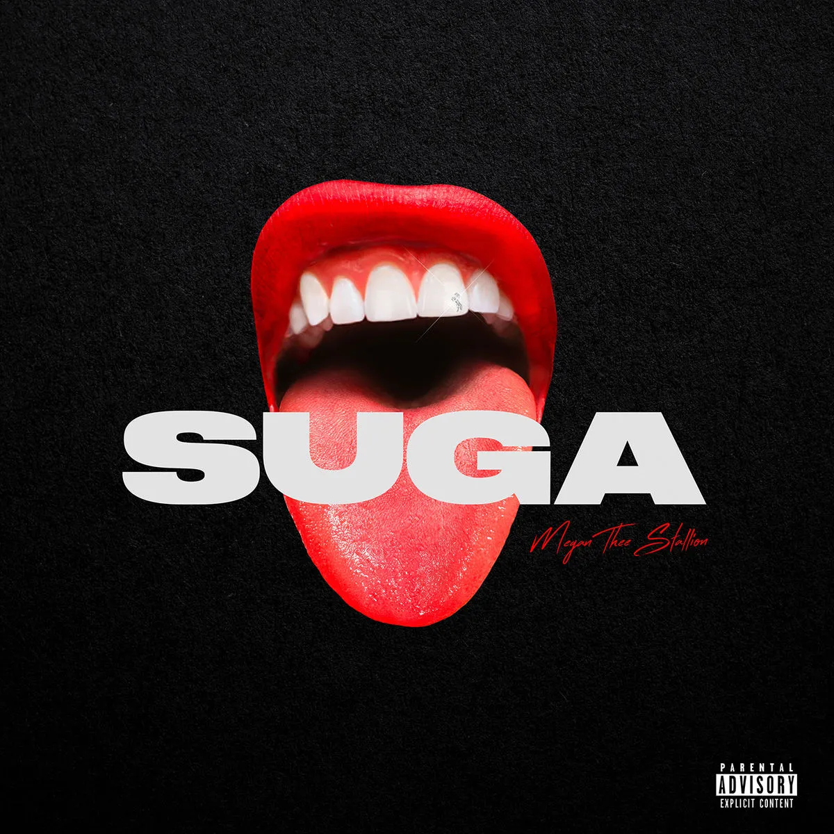 دانلود آهنگ B.I.T.C.H از Megan Thee Stallion