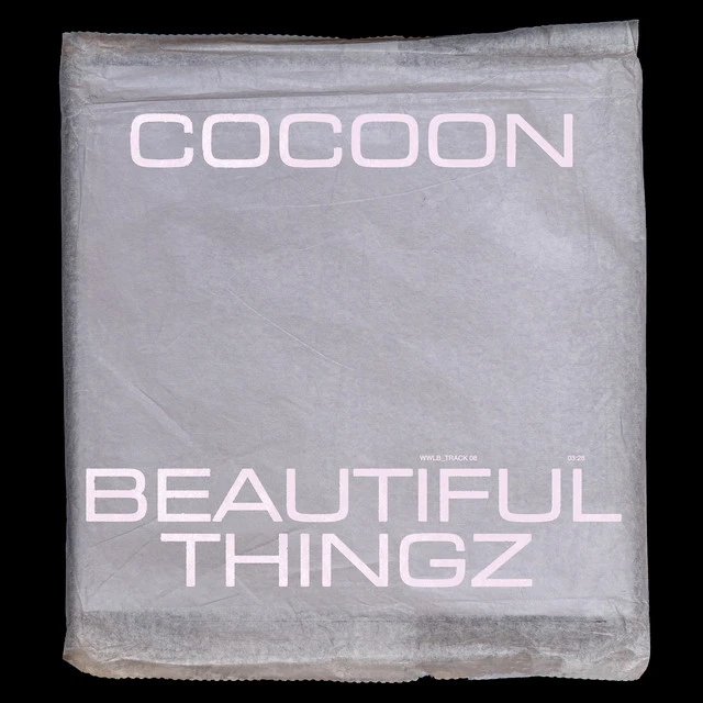 دانلود آهنگ Beautiful Thingz از Cocoon