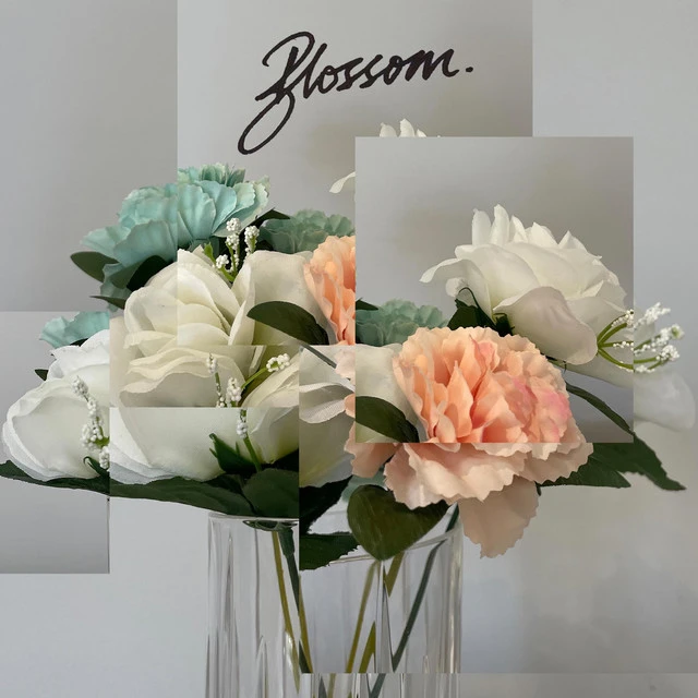 دانلود آهنگ Blossom از Matthew Ifield