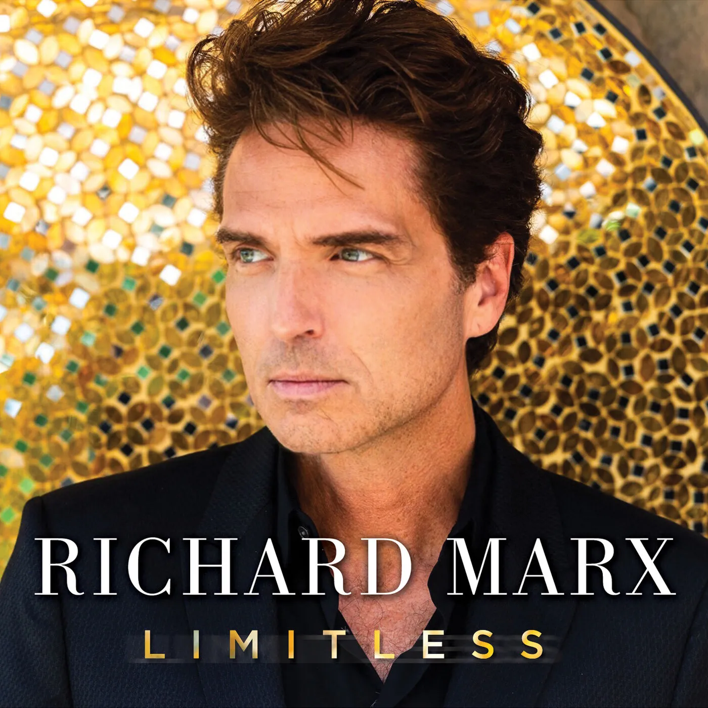 دانلود آهنگ Break My Heart Tonight از Richard Marx