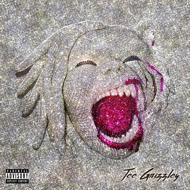 دانلود آهنگ Buss It All Down از Tee Grizzley