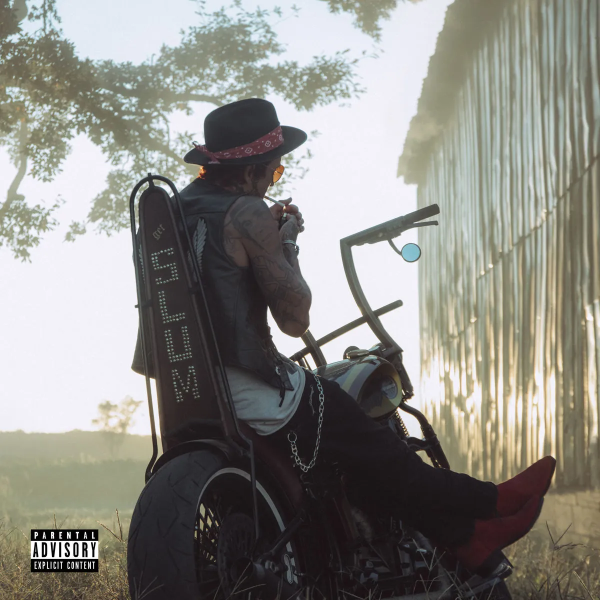 دانلود آهنگ Country Rich از Yelawolf