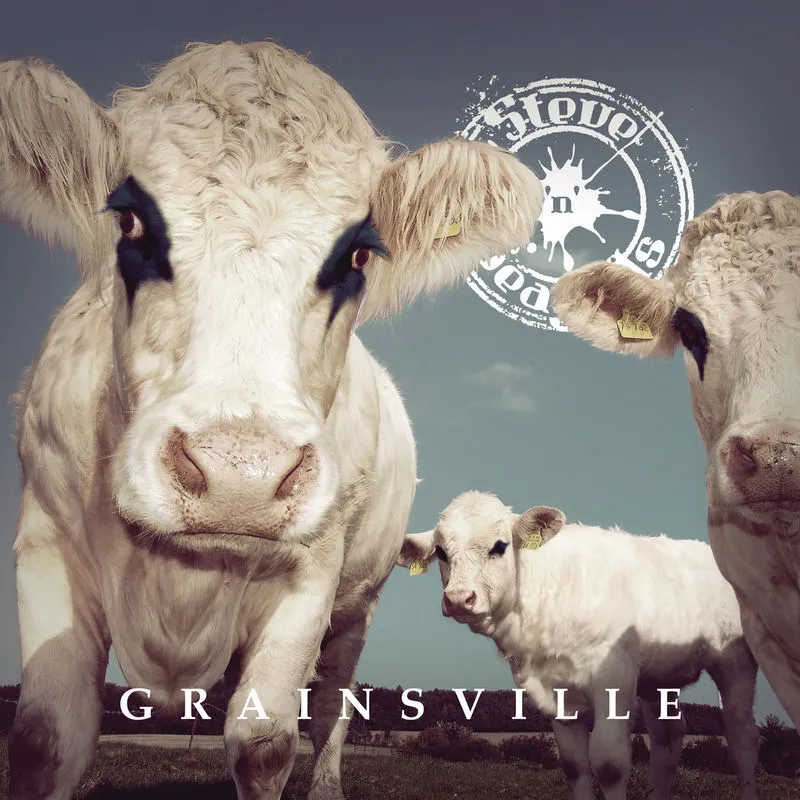 دانلود آهنگ Digging The Grave از Steve n Seagulls