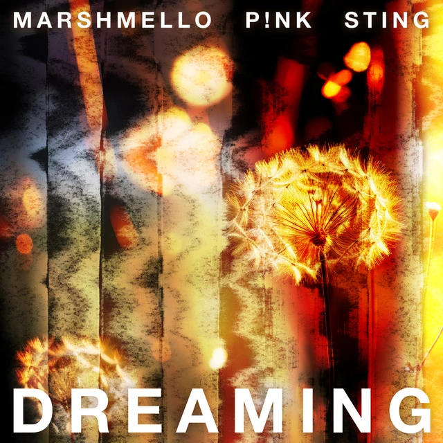 دانلود آهنگ Dreaming از P!nk