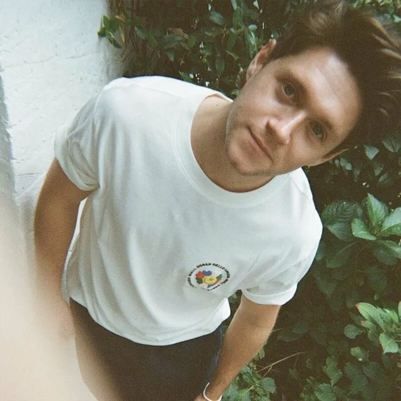 دانلود آهنگ Fire Away از Niall Horan