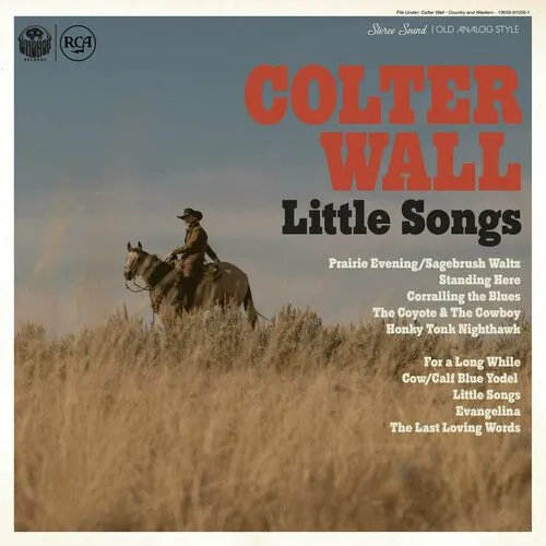 دانلود آهنگ For a Long While از Colter Wall