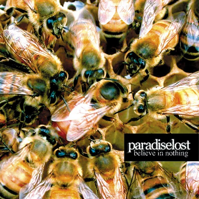 دانلود آهنگ I Am Nothing از Paradise Lost