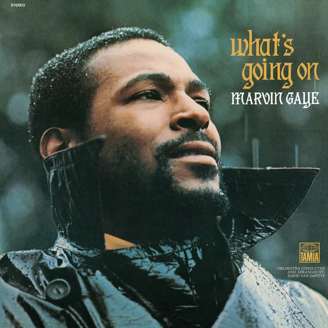 دانلود آهنگ Inner City Blues (Make Me Wanna Holler) از Marvin Gaye
