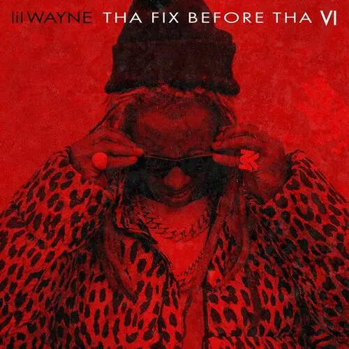دانلود آهنگ Kat Food از Lil Wayne
