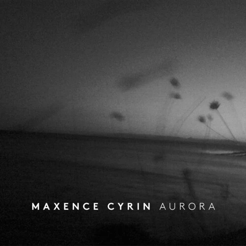دانلود آهنگ Larmes glacées از Maxence Cyrin