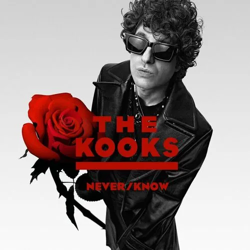 دانلود آهنگ Let You Go از The Kooks