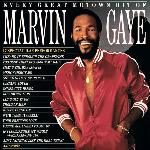 دانلود آهنگ Let's Get It On از Marvin Gaye