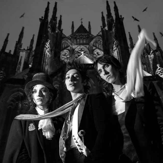 دانلود آهنگ Lifeless Stars از Palaye Royale