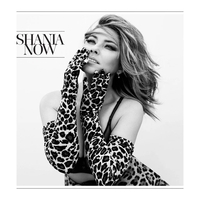 دانلود آهنگ Life's About To Get Good از Shania Twain