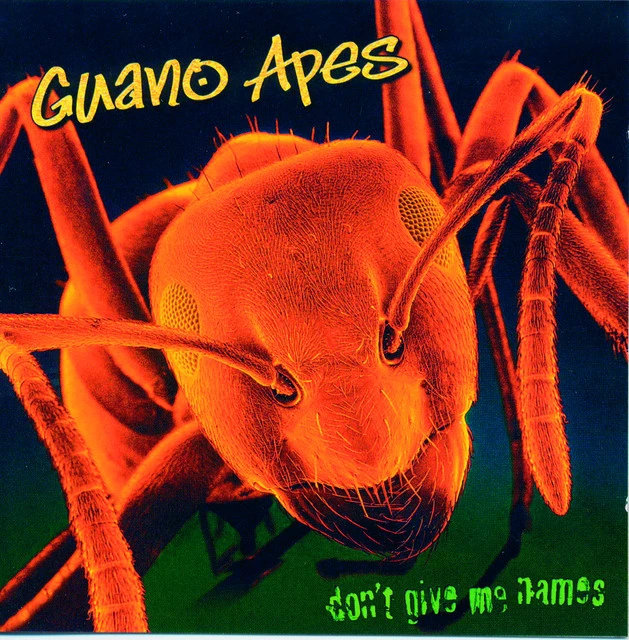 دانلود آهنگ Living in a Lie از Guano Apes