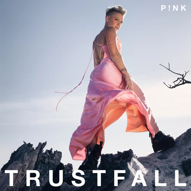 دانلود آهنگ Long Way to Go از P!nk