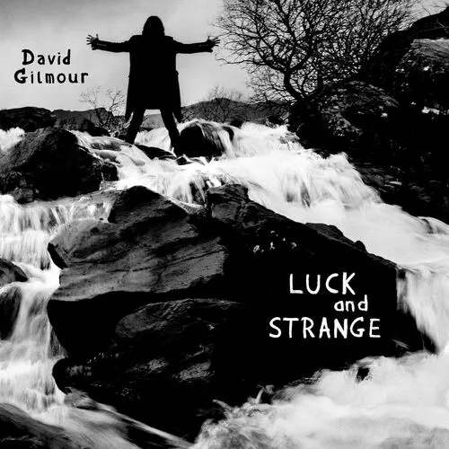 دانلود آهنگ Luck and Strange از David Gilmour