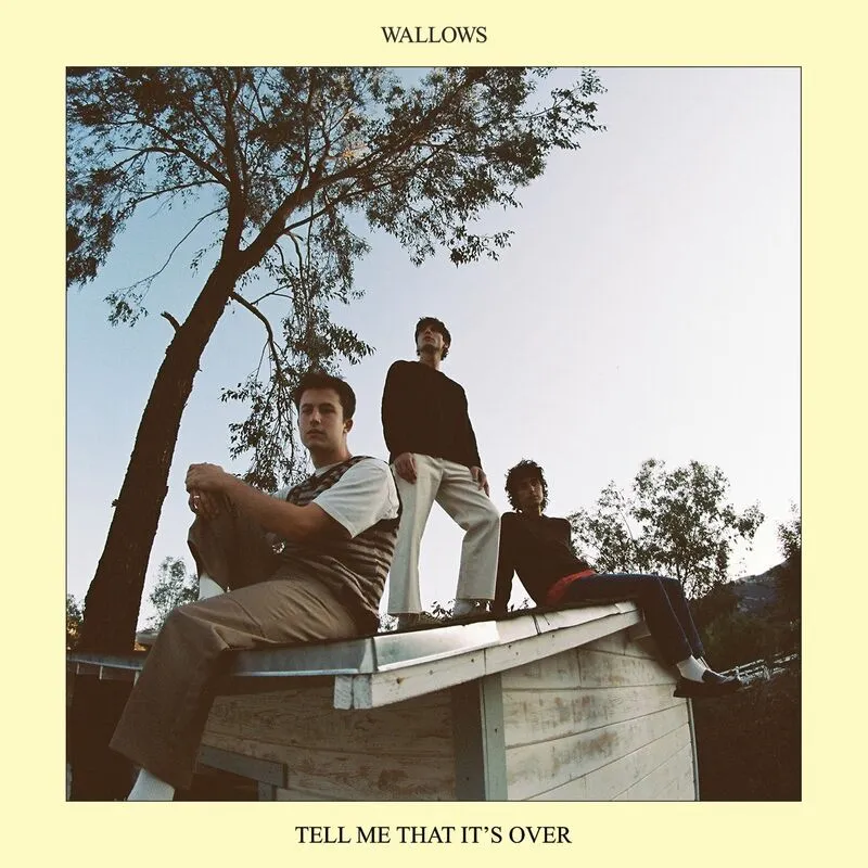 دانلود آهنگ Marvelous از Wallows