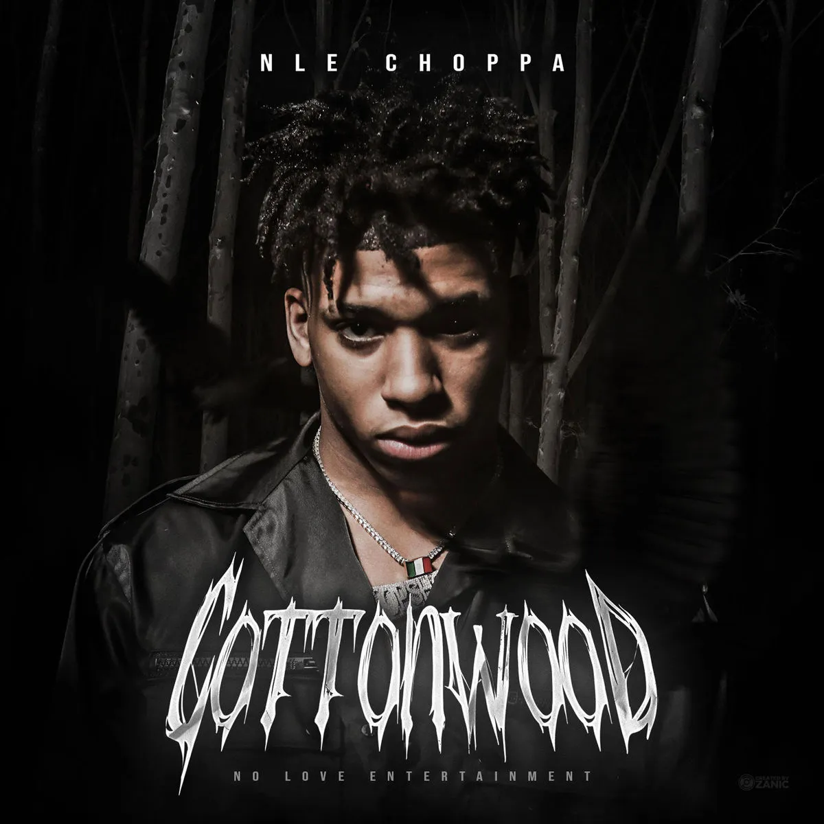 دانلود آهنگ N.W.A از NLE Choppa