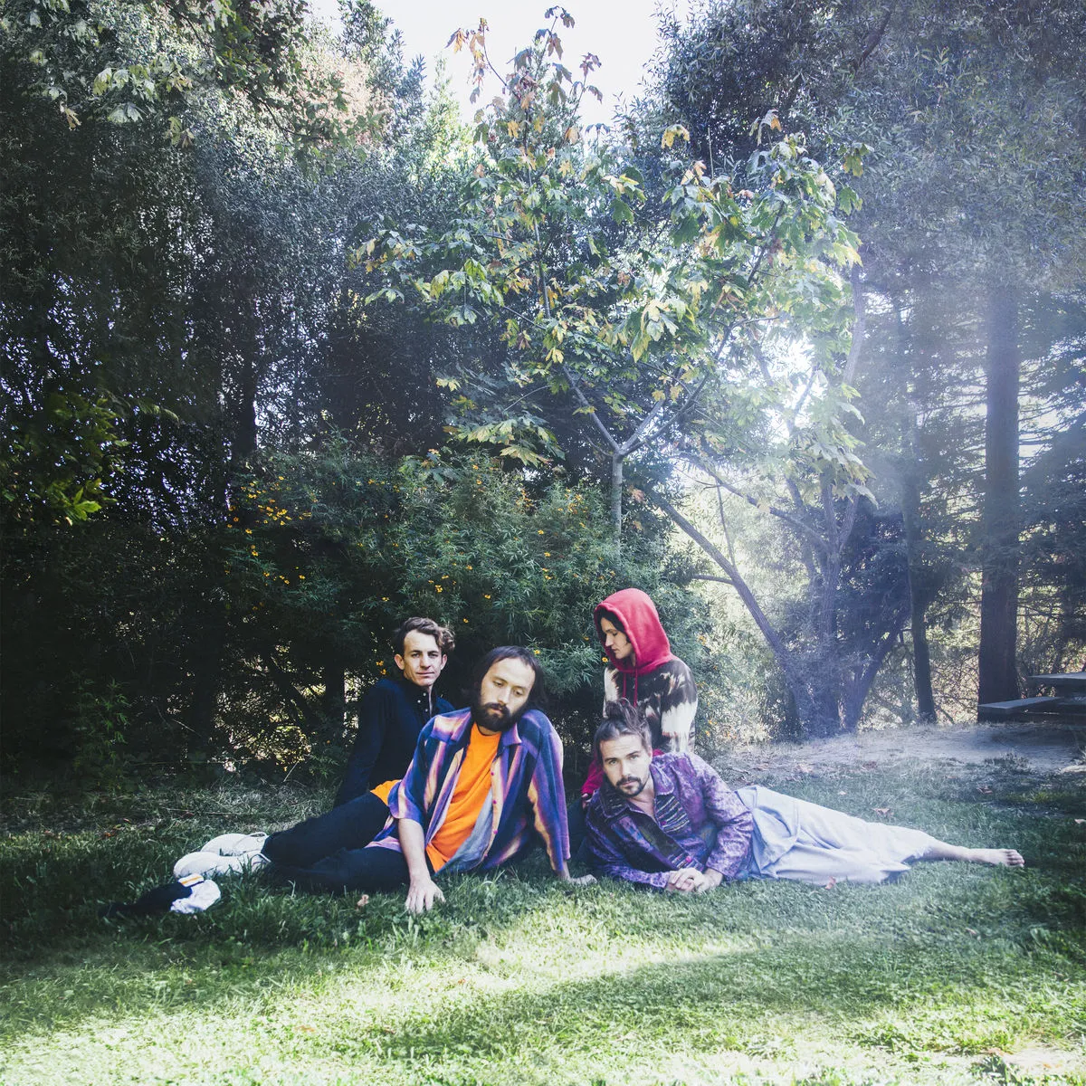 دانلود آهنگ Open Desert از Big Thief