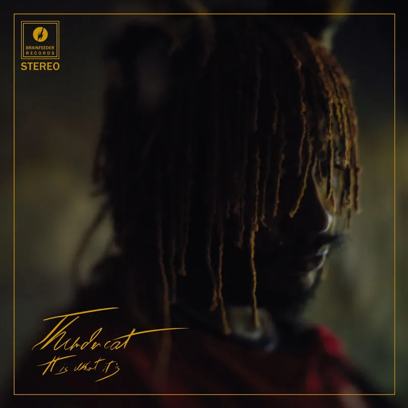 دانلود آهنگ Overseas از Thundercat