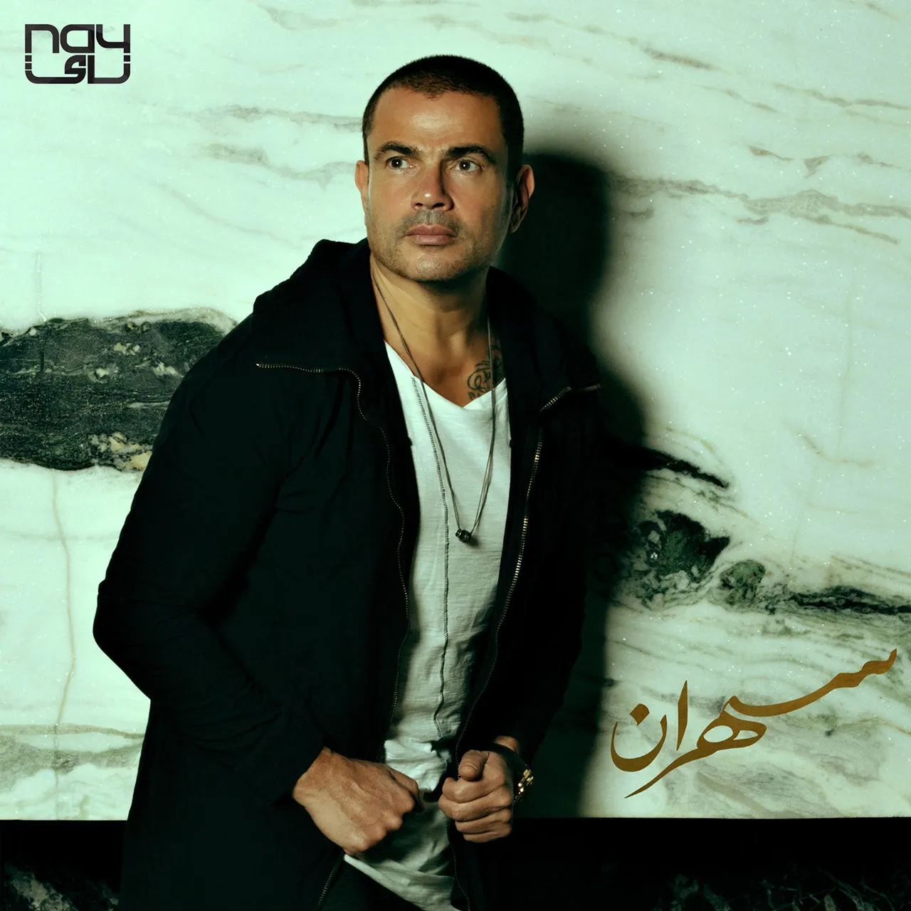 دانلود آلبوم Sahran از Amr Diab