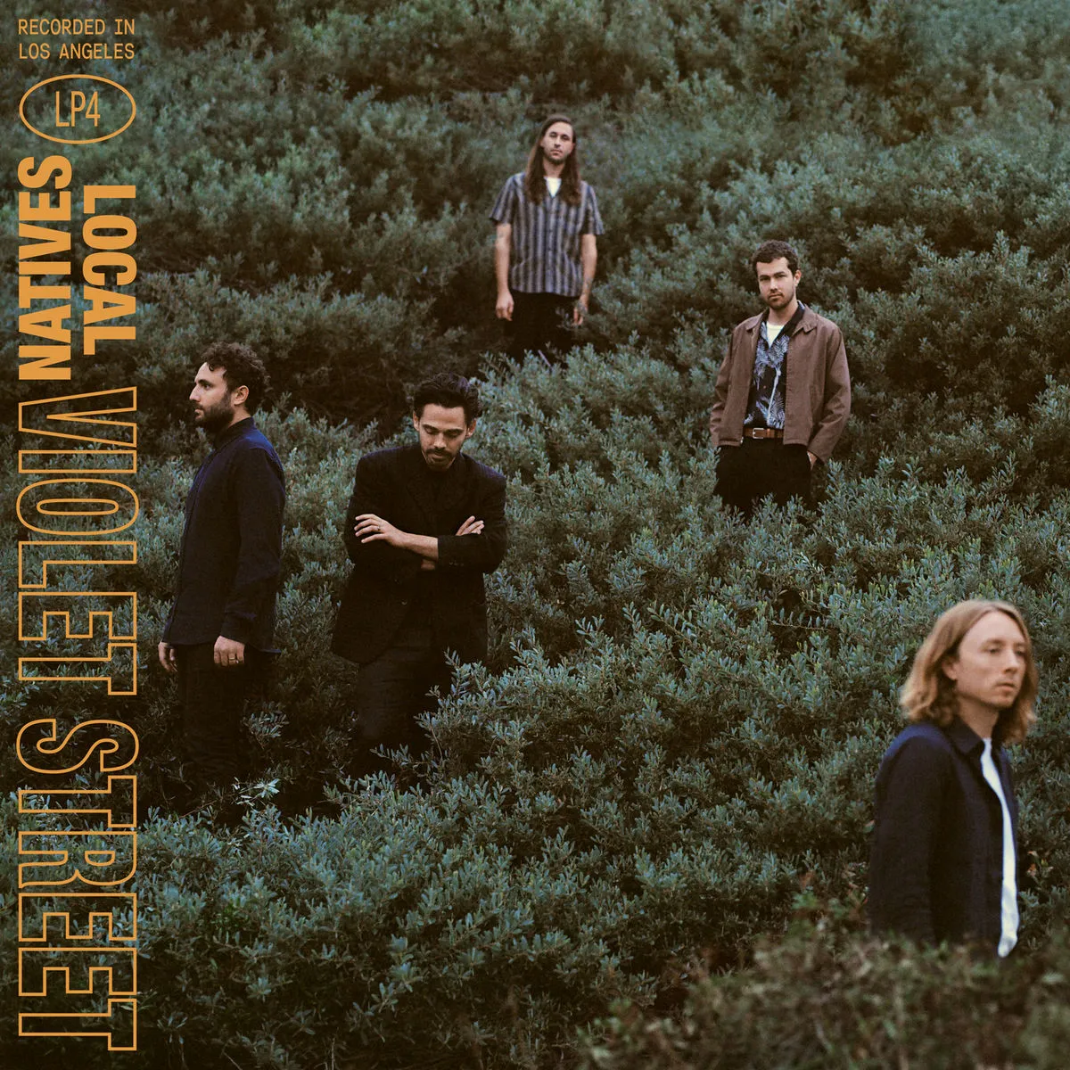 دانلود آهنگ Someday Now از Local Natives