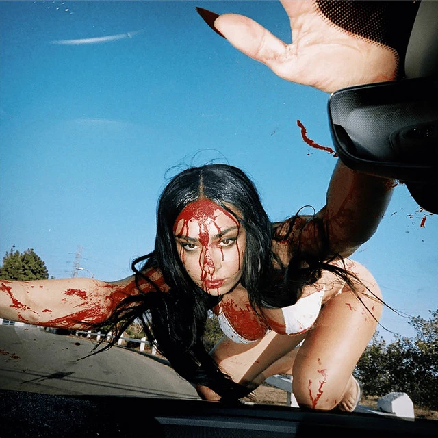 دانلود آهنگ Sorry if I Hurt You از Charli xcx