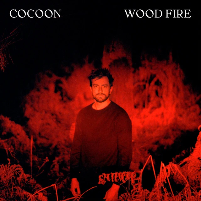 دانلود آهنگ Spark از Cocoon