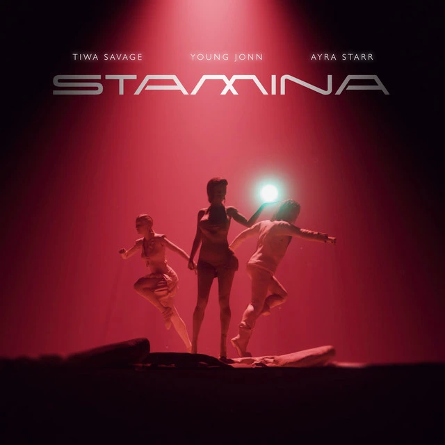 دانلود آهنگ Stamina از Tiwa Savage