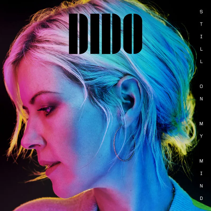 دانلود آلبوم Still on My Mind از Dido