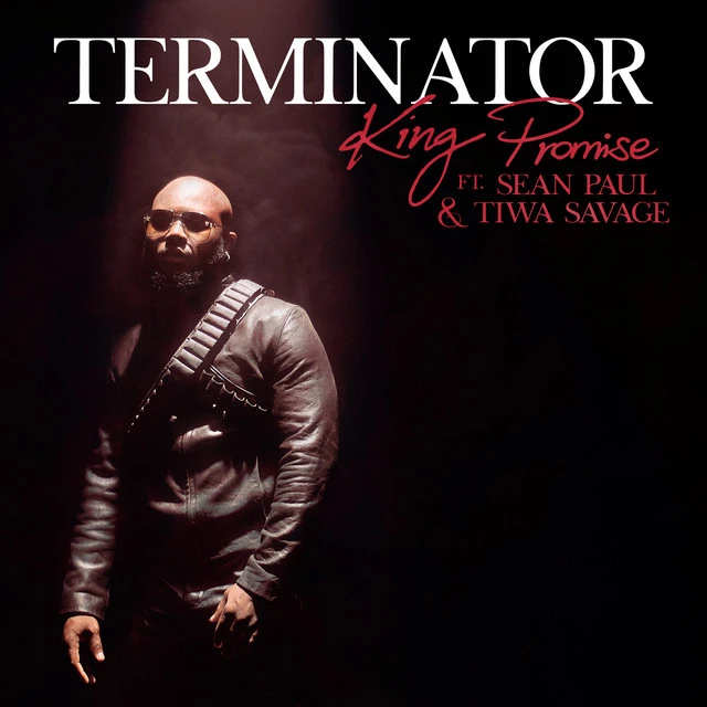 دانلود آهنگ Terminator - Remix از Tiwa Savage