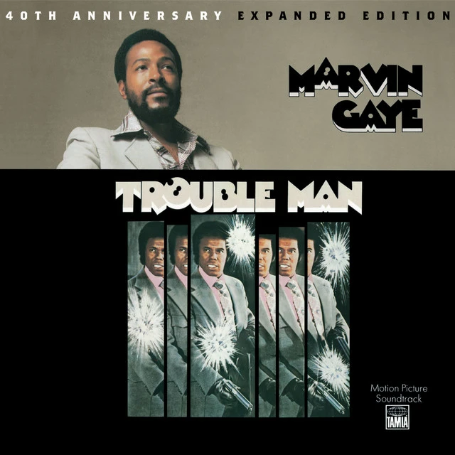 دانلود آهنگ Trouble Man از Marvin Gaye