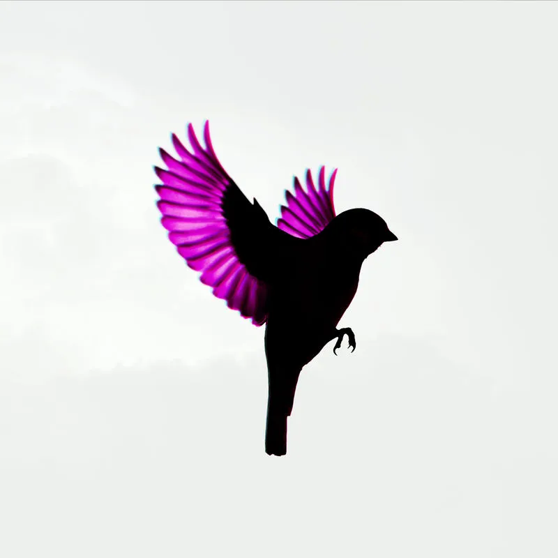 دانلود آهنگ Violets از Jump