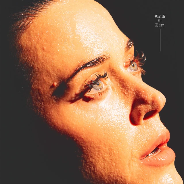 دانلود آهنگ Watch It Burn از Katy Perry