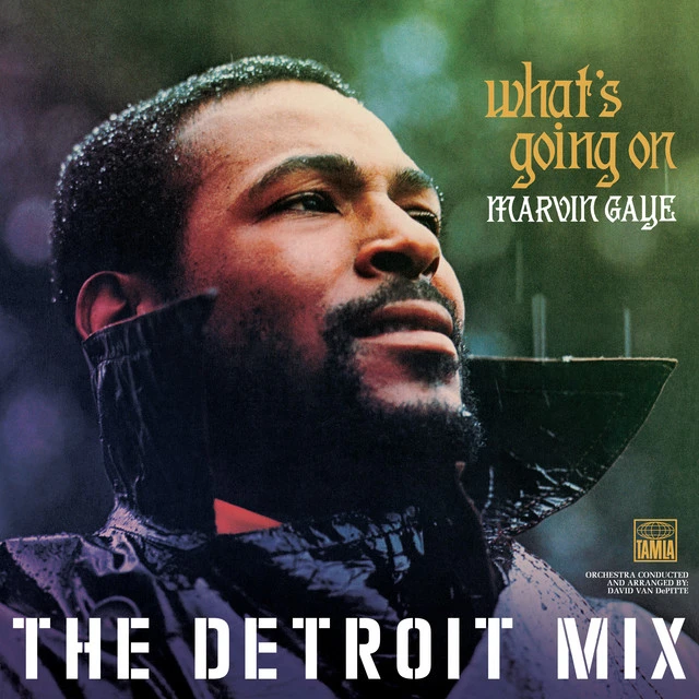 دانلود آهنگ What's Going On - Detroit Mix از Marvin Gaye