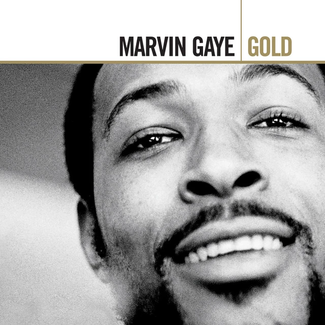 دانلود آهنگ Where Are We Going? از Marvin Gaye
