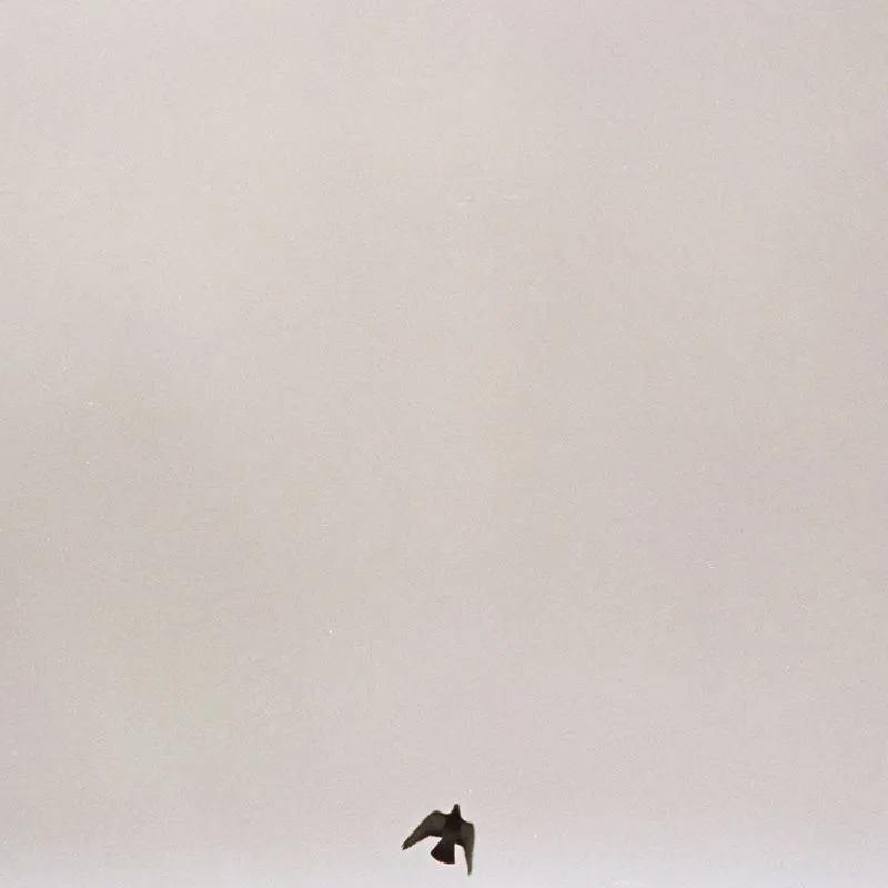 دانلود آلبوم You Know How It Feels از Maverick Sabre