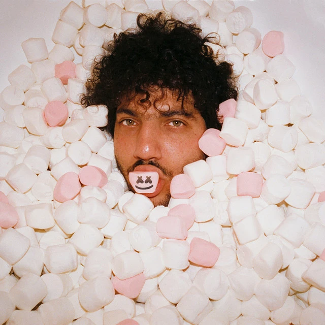 دانلود آهنگ You (with Marshmello & Vance Joy) از benny blanco