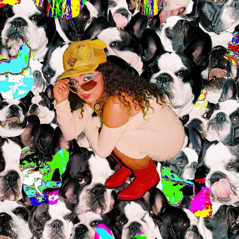 دانلود آهنگ wyd از Remi Wolf