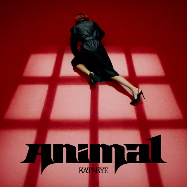 دانلود آهنگ Animal از KATSEYE